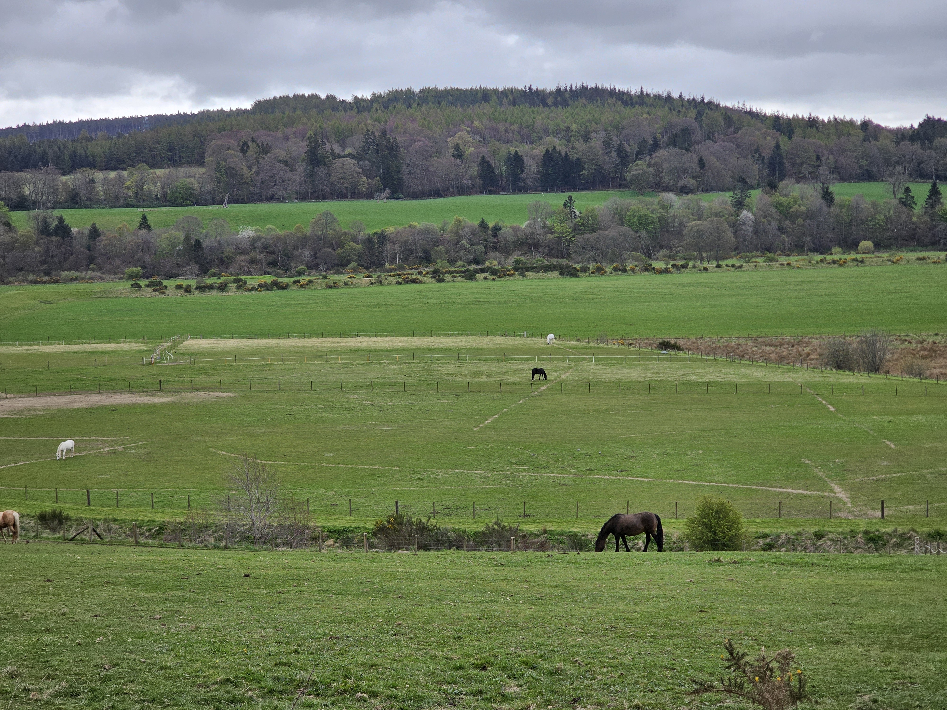 UK nature